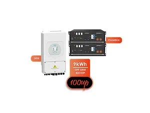 Deye hybrid inverter and Pylontech US5000 lithium battery modules displayed against black background