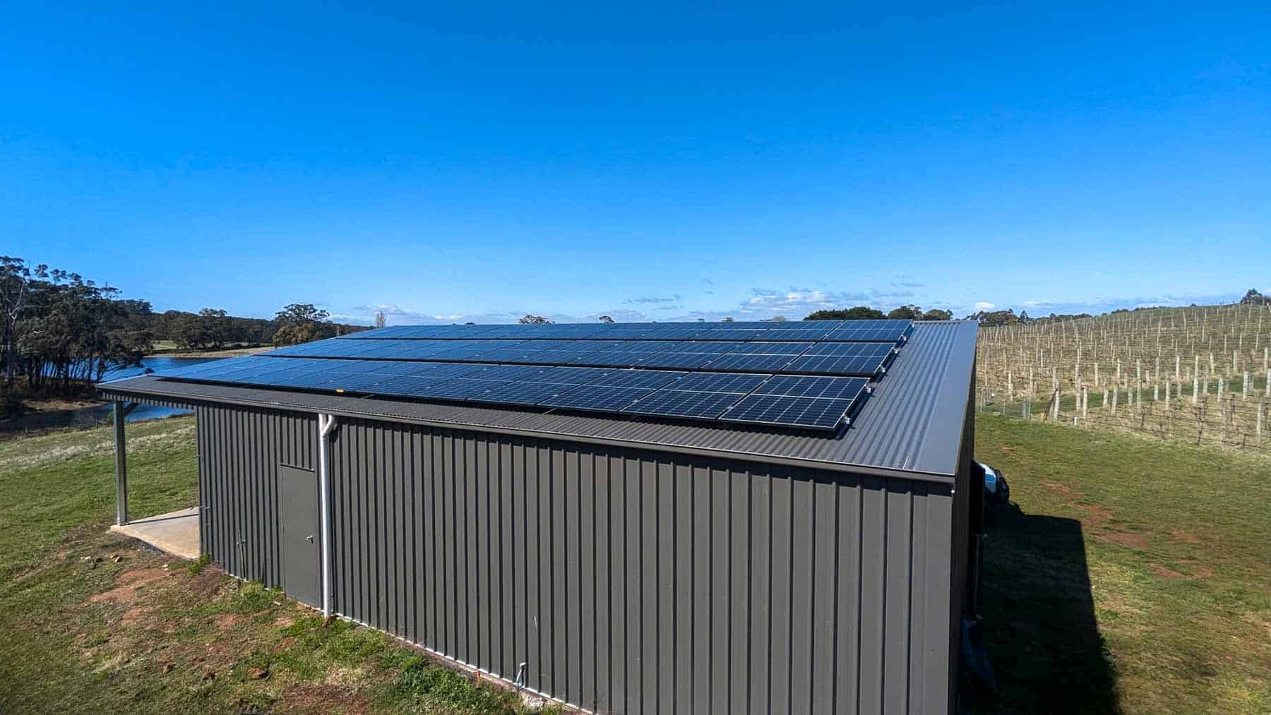 Solar panels across the roof of a grey farm shed beside a vineyard